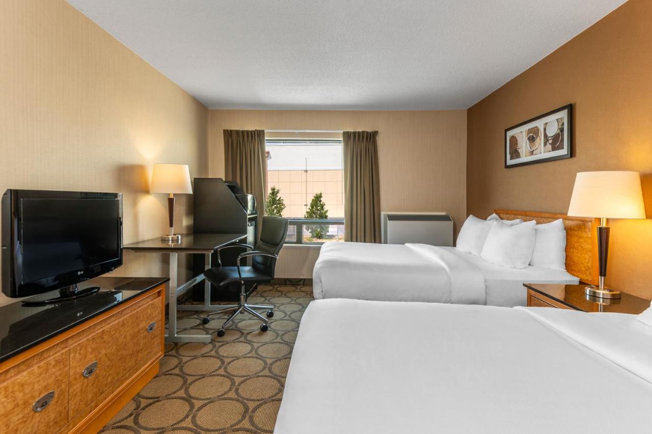 Comfort Inn Prince Albert Eksteriør bilde